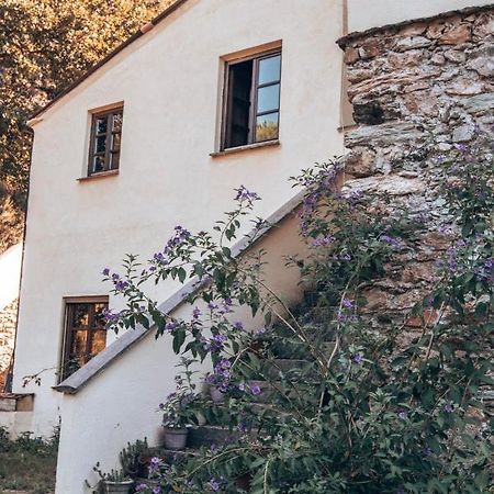 Le Petit Chateau Vezzi Portio Eksteriør bilde